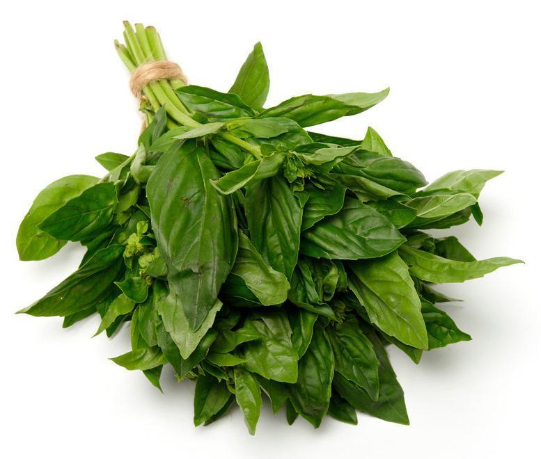 Basil anti peradangan