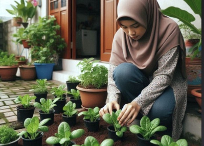 Bayam zat besi