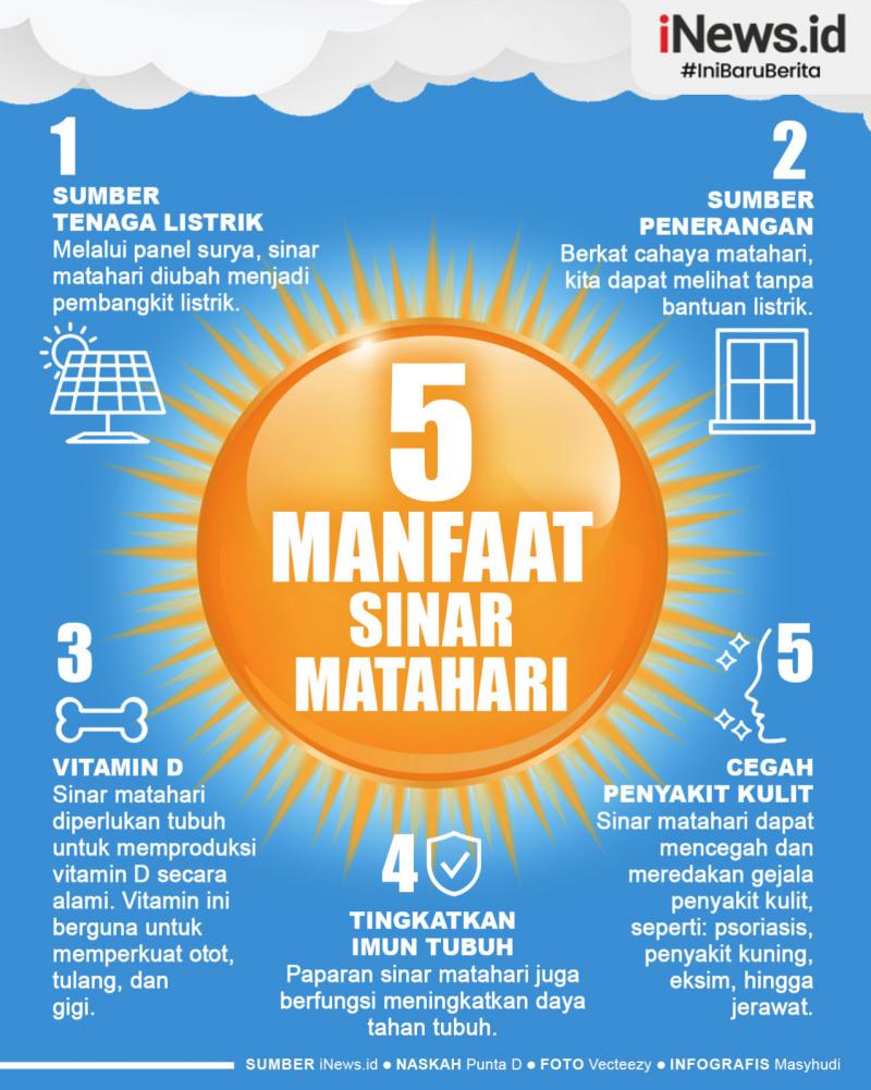 Bunga matahari untuk kulit
