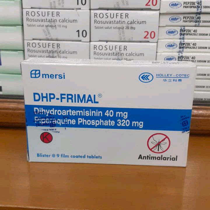 Cinchona obat malaria