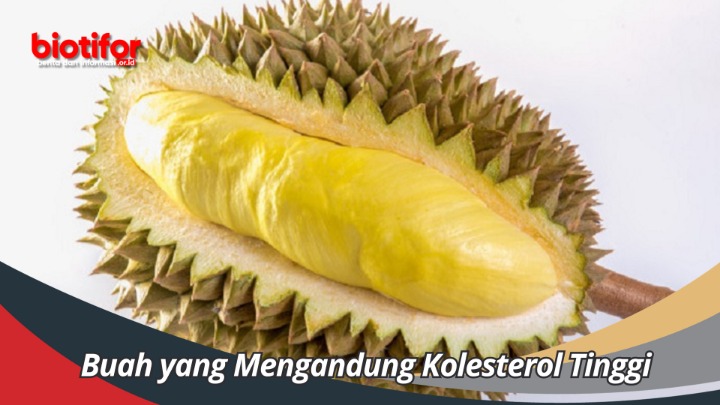 Daun Afrika Kolesterol