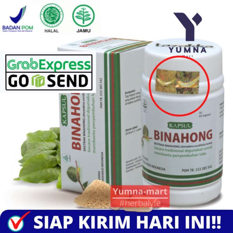 Daun Binahong Penyembuh Luka