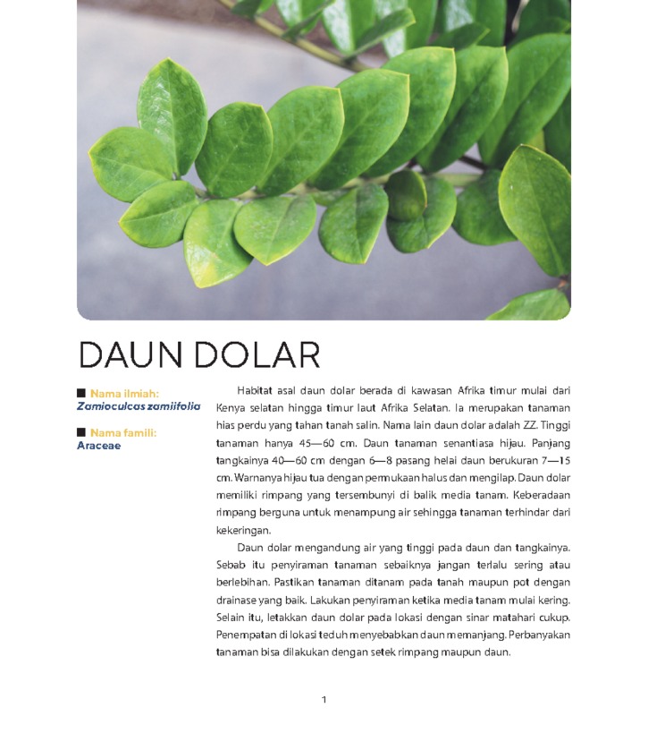 Daun dolar penyaring udara