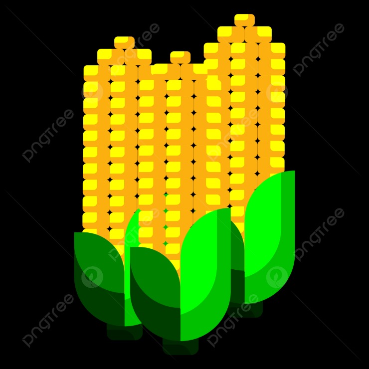 Daun jagung ternak