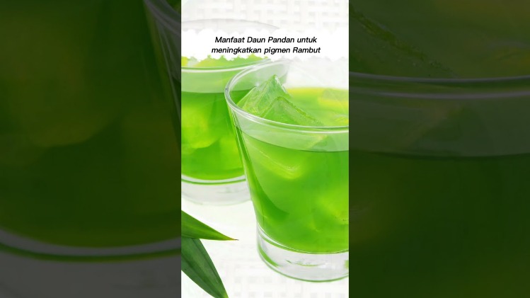 Daun pandan untuk antioksidan