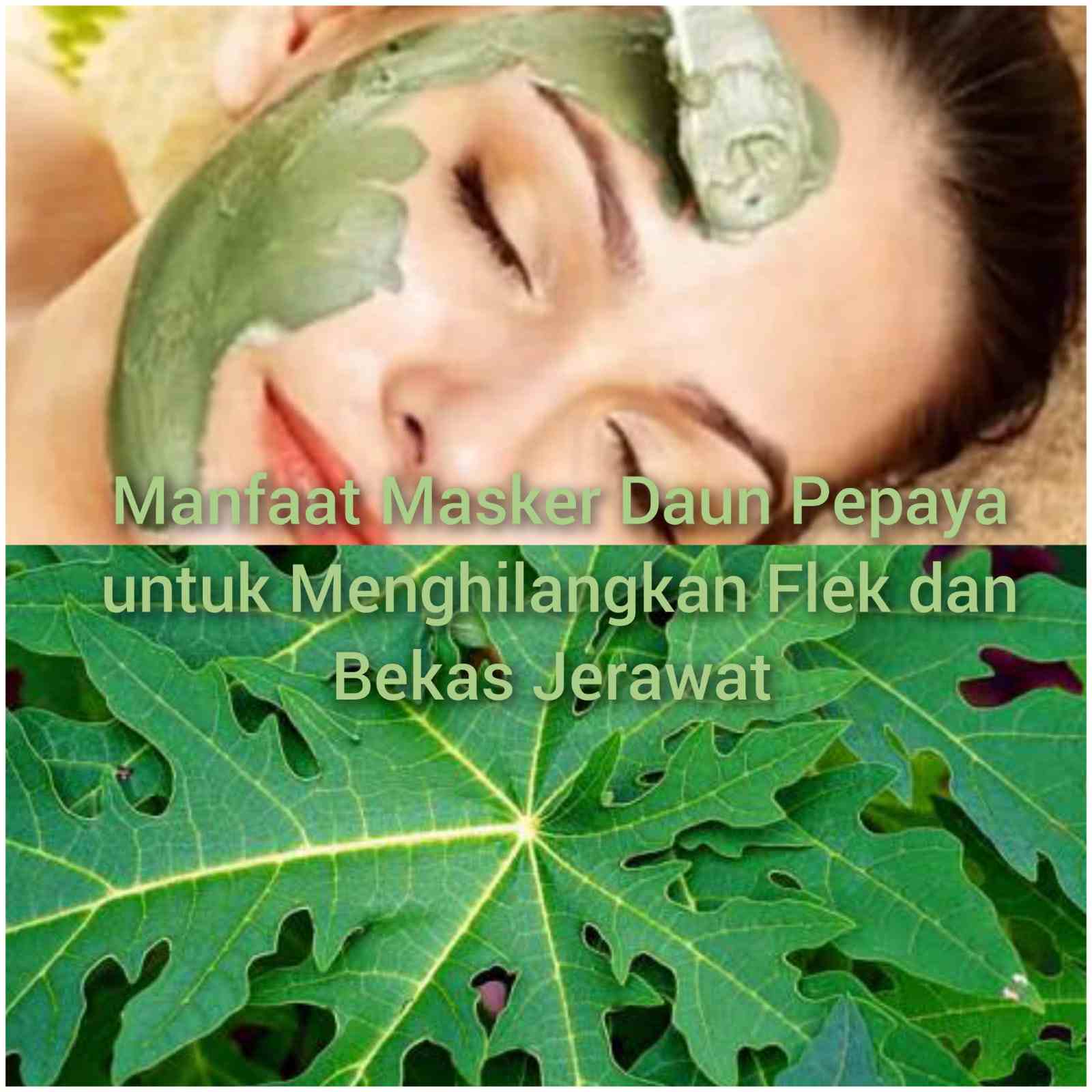 Daun pepaya penghilang flek