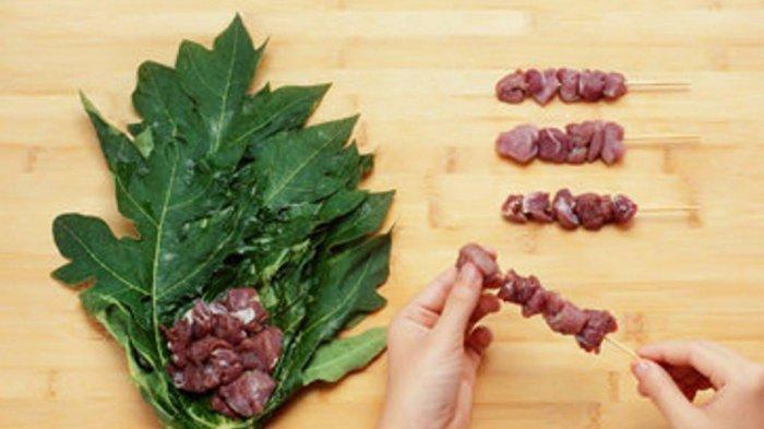 Daun pepaya untuk cacingan hewan