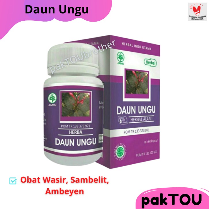 Daun ungu untuk wasir