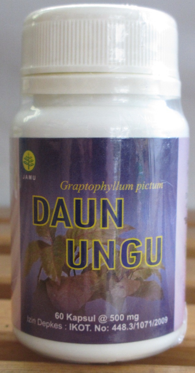 Daun ungu untuk wasir