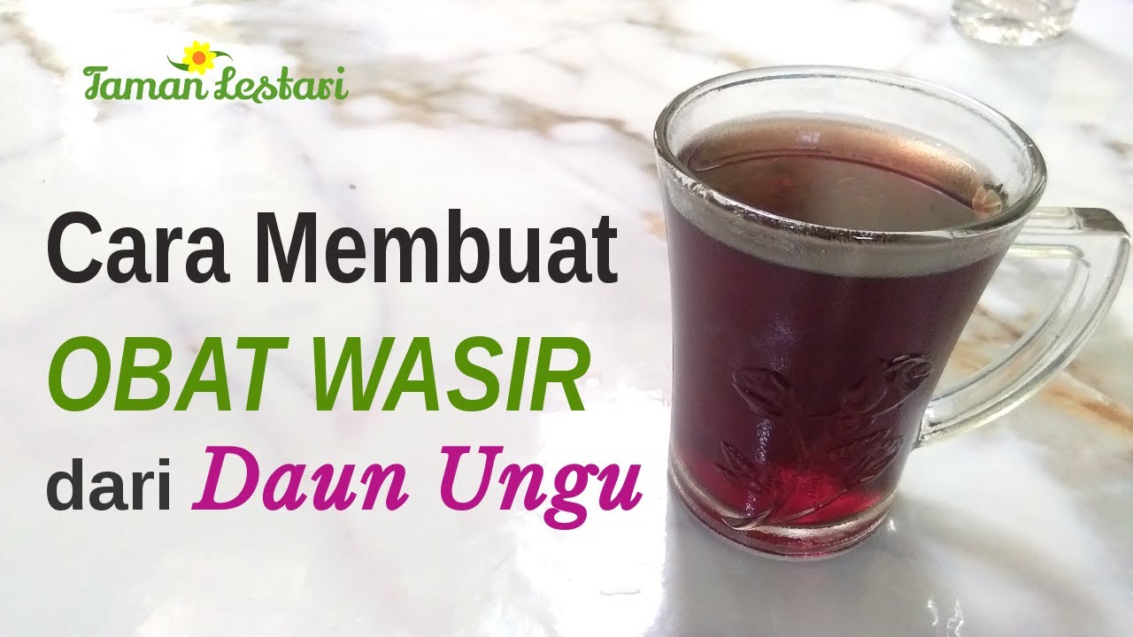 Daun ungu untuk wasir