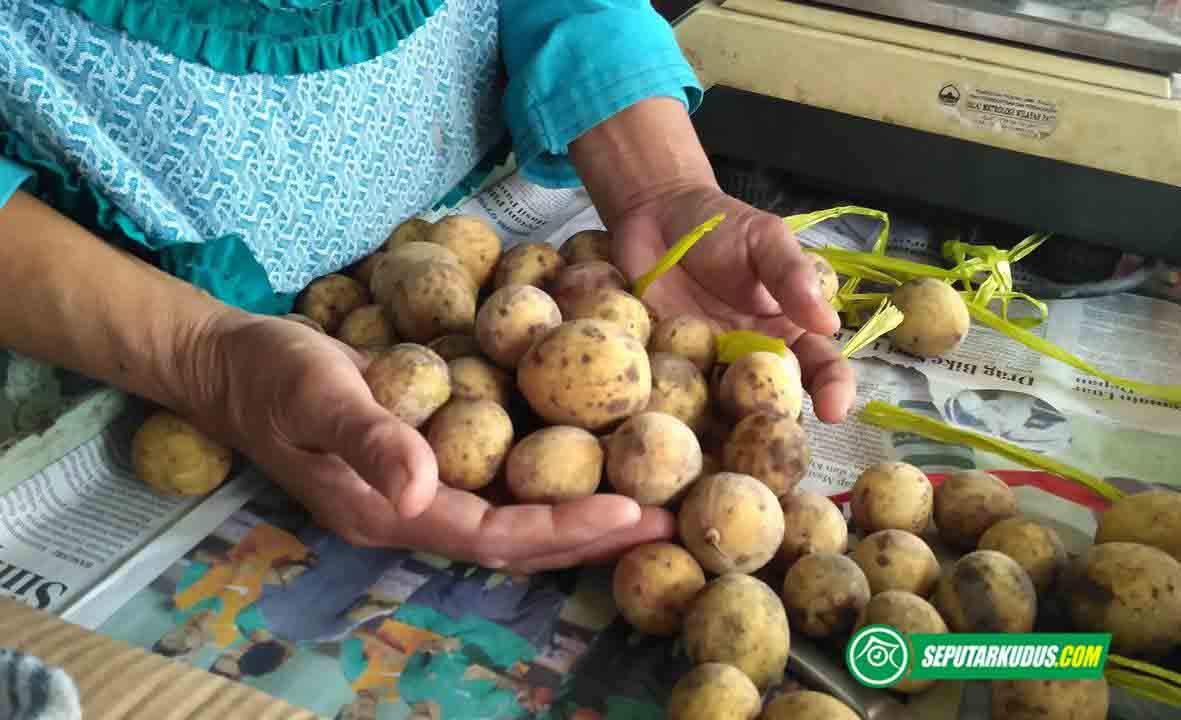 Duku sumber vitamin