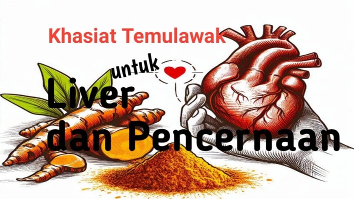 Ekstrak temulawak liver