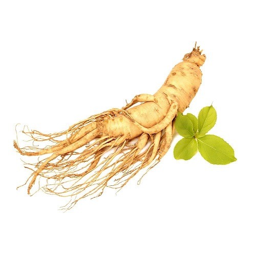 Ginseng stamina alami