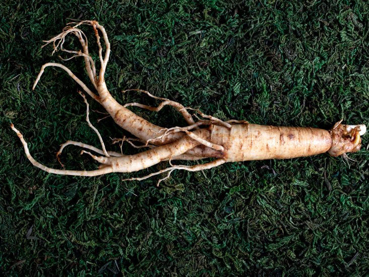 Ginseng untuk vitalitas