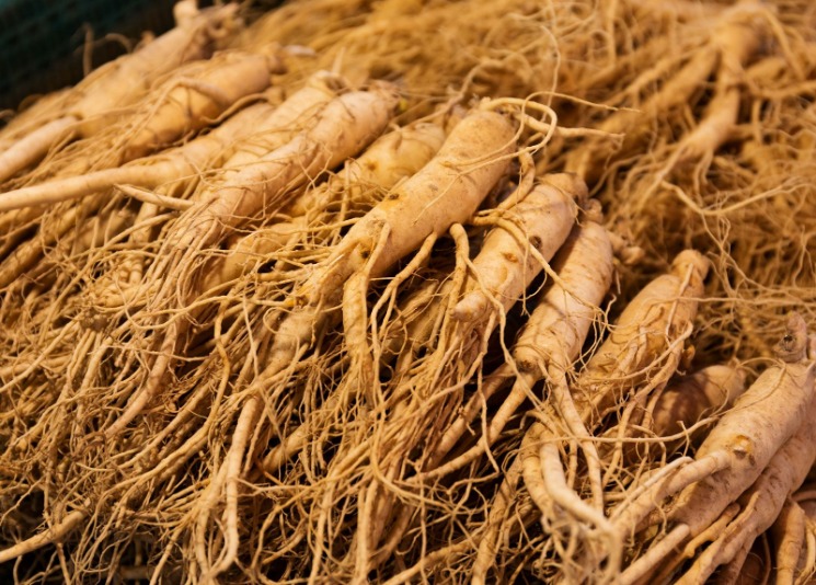 Ginseng untuk vitalitas
