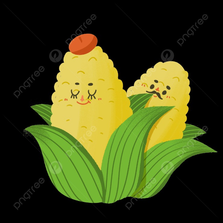 Jagung kaya serat