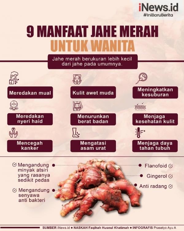 Jahe merah energi tubuh