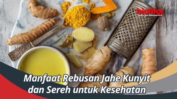 Jahe untuk kesehatan