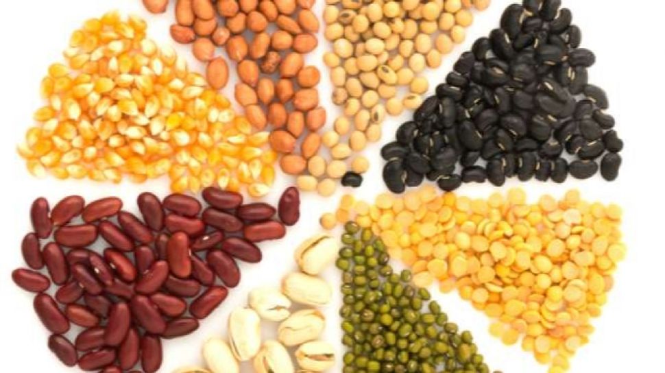 Kacang-kacangan serat tinggi