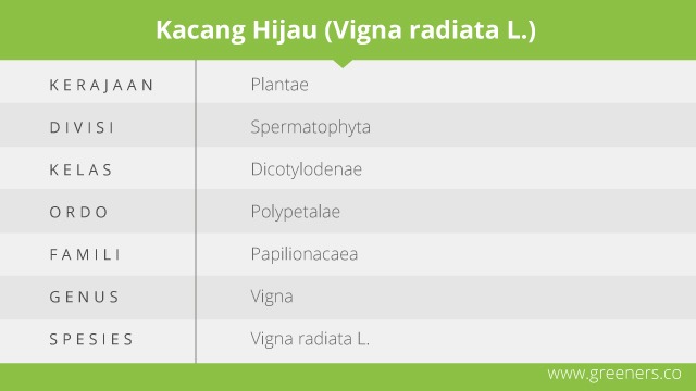 Kacang hijau protein nabati