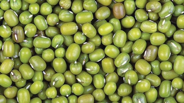 Kacang hijau protein nabati