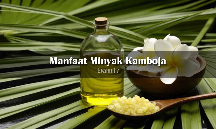 Kamboja untuk luka