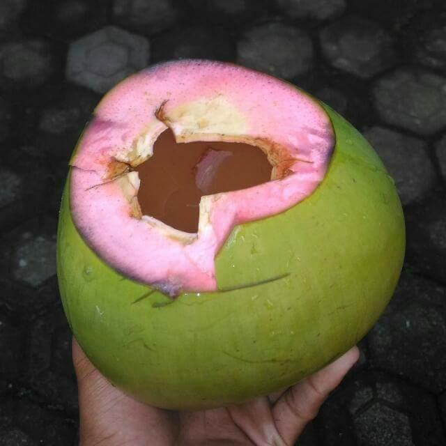 Kelapa obat tradisional