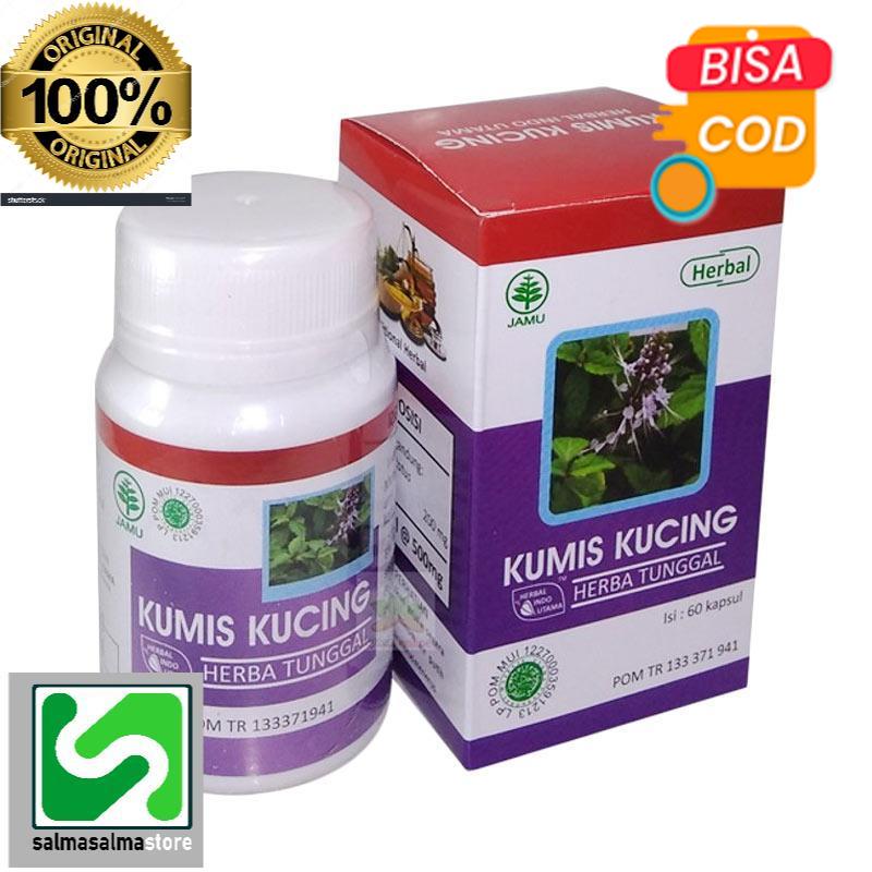 Kumis kucing untuk ginjal