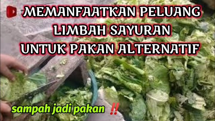 Leguminosae hijauan ternak