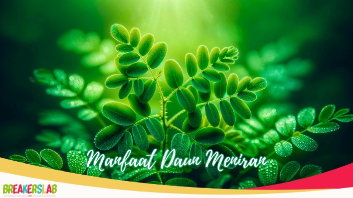 Meniran untuk daya tahan