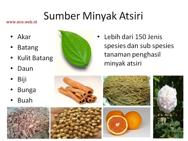 Minyak atsiri terapi
