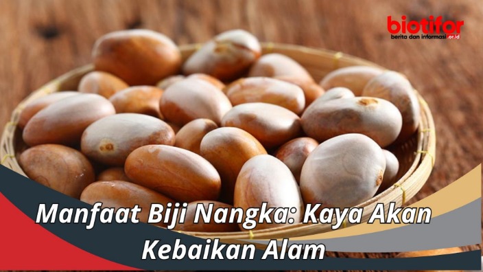 Nangka kaya serat