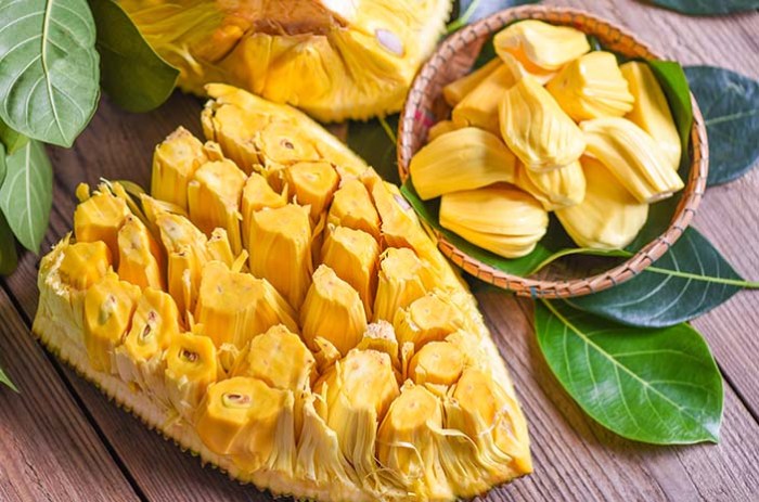 Nangka kaya serat