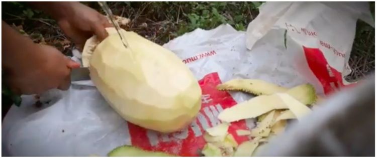 Nangka Kaya Serat