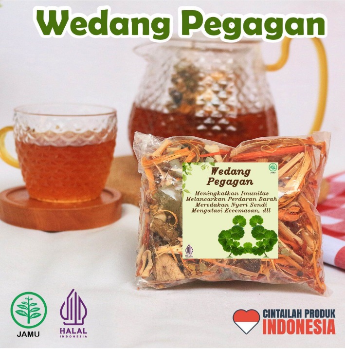 Pegagan untuk otak