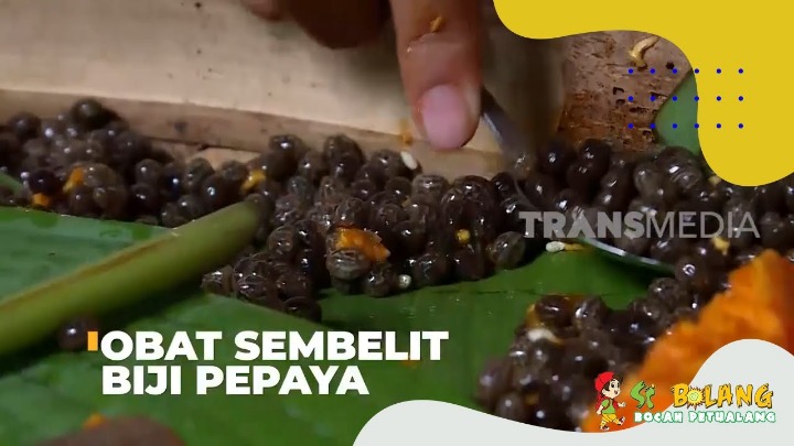 Pepaya untuk sembelit