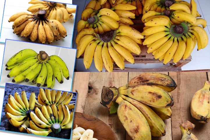 Pisang karbohidrat alami
