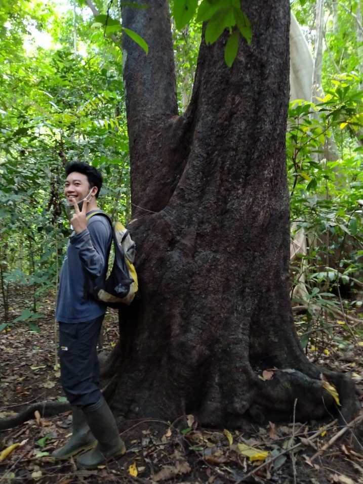 Pohon belimbing menurunkan gula
