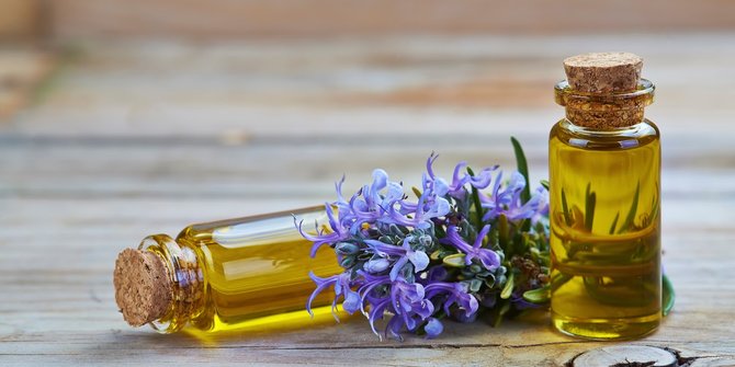 Rosemary Untuk Dapur