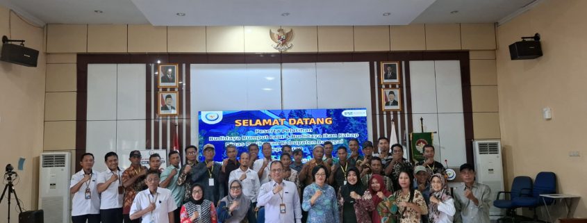 Rumput Gajah Untuk Pakan