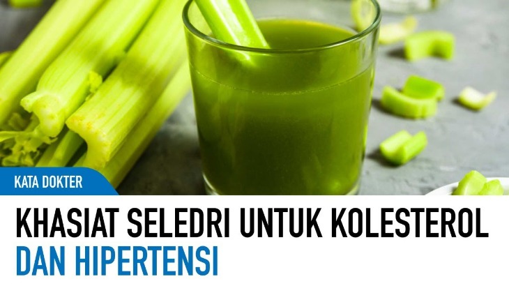 Seledri Untuk Hipertensi
