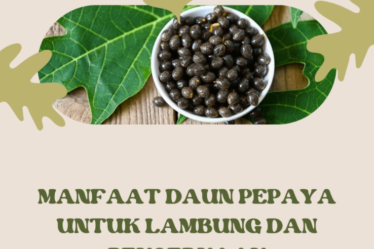 daun penenang lambung