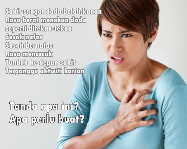 daun penenang lambung