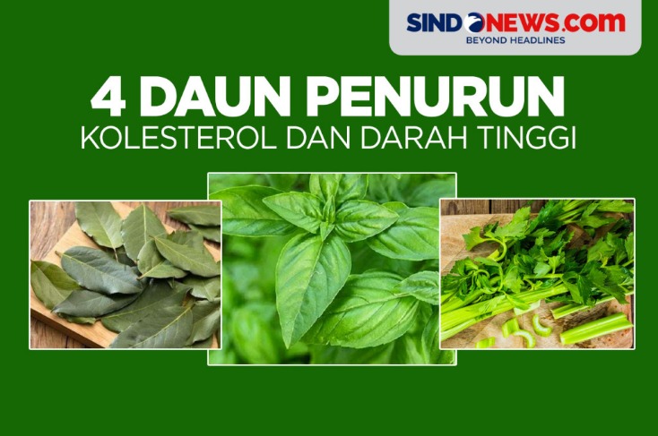 daun penurun tekanan darah