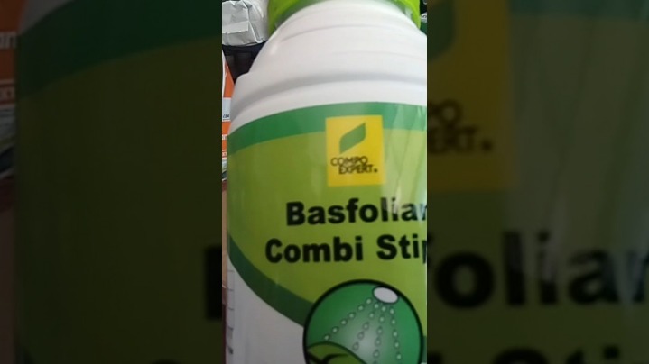 daun penyubur kandungan