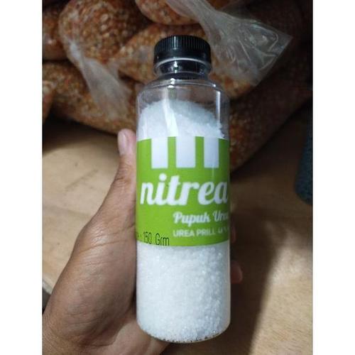 daun penyubur kandungan