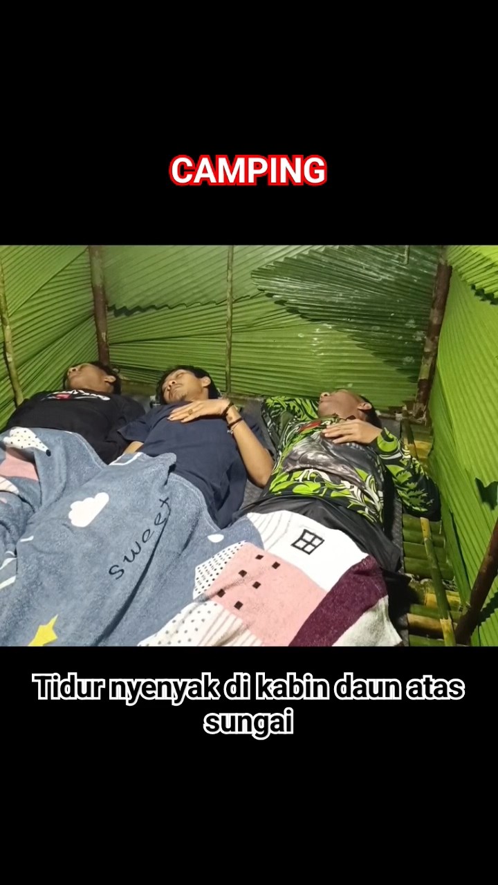 daun untuk tidur nyenyak