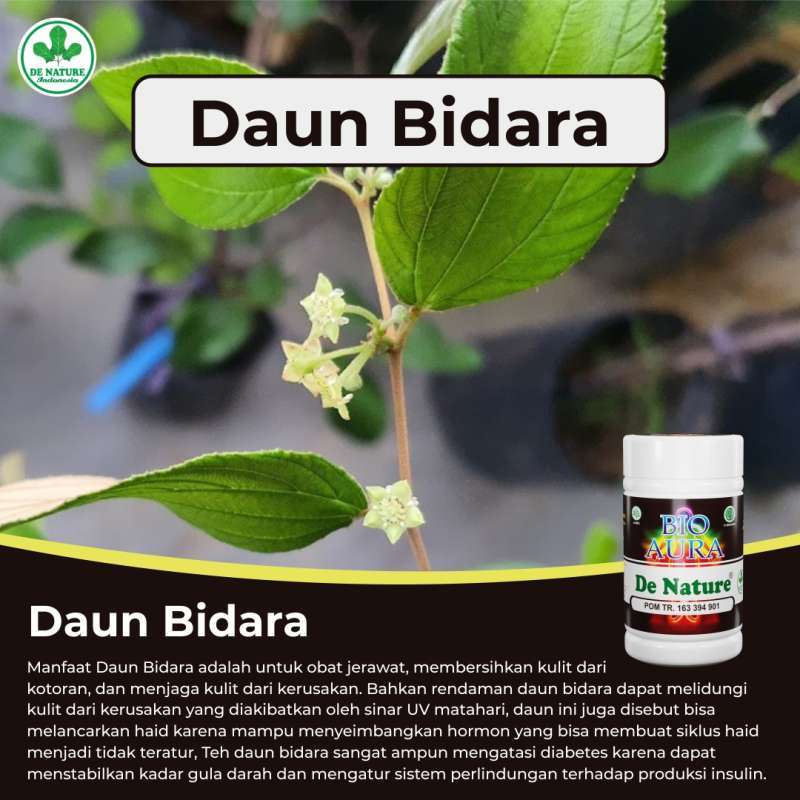 daun untuk tidur nyenyak