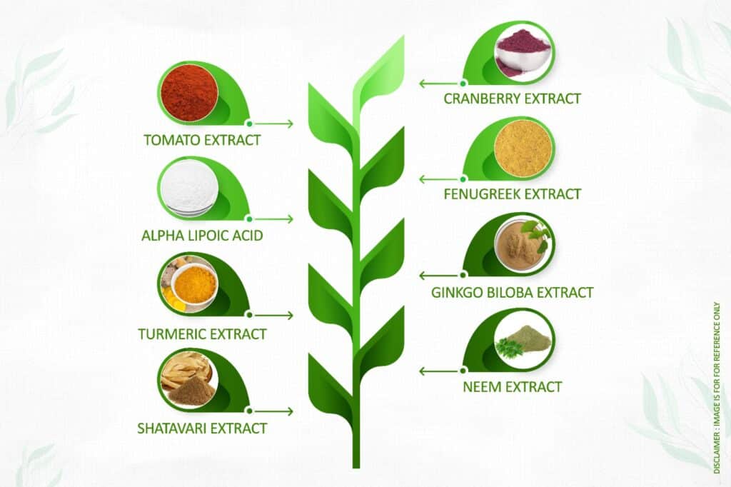 herbal antioksidan tinggi