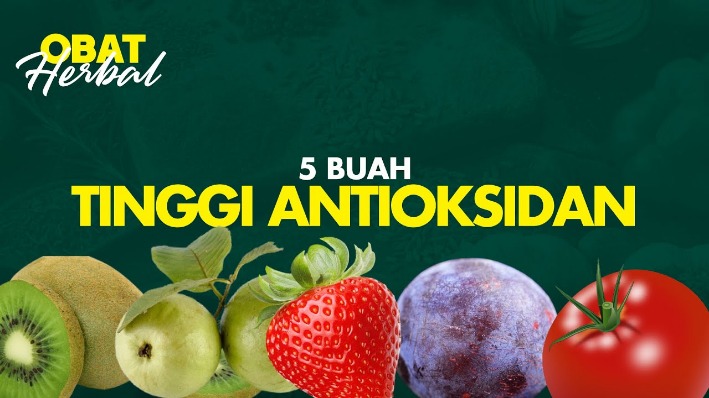 herbal antioksidan tinggi